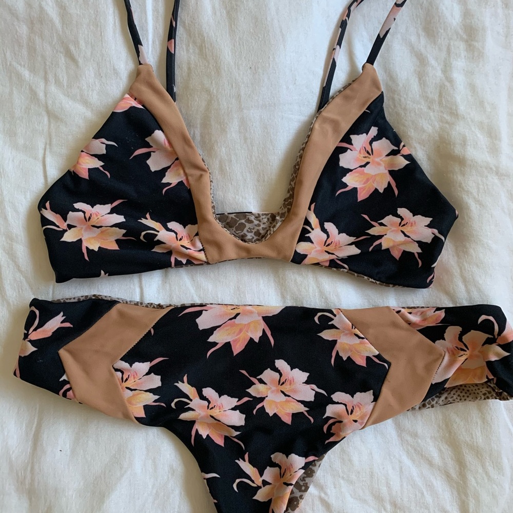 Acacia bikini